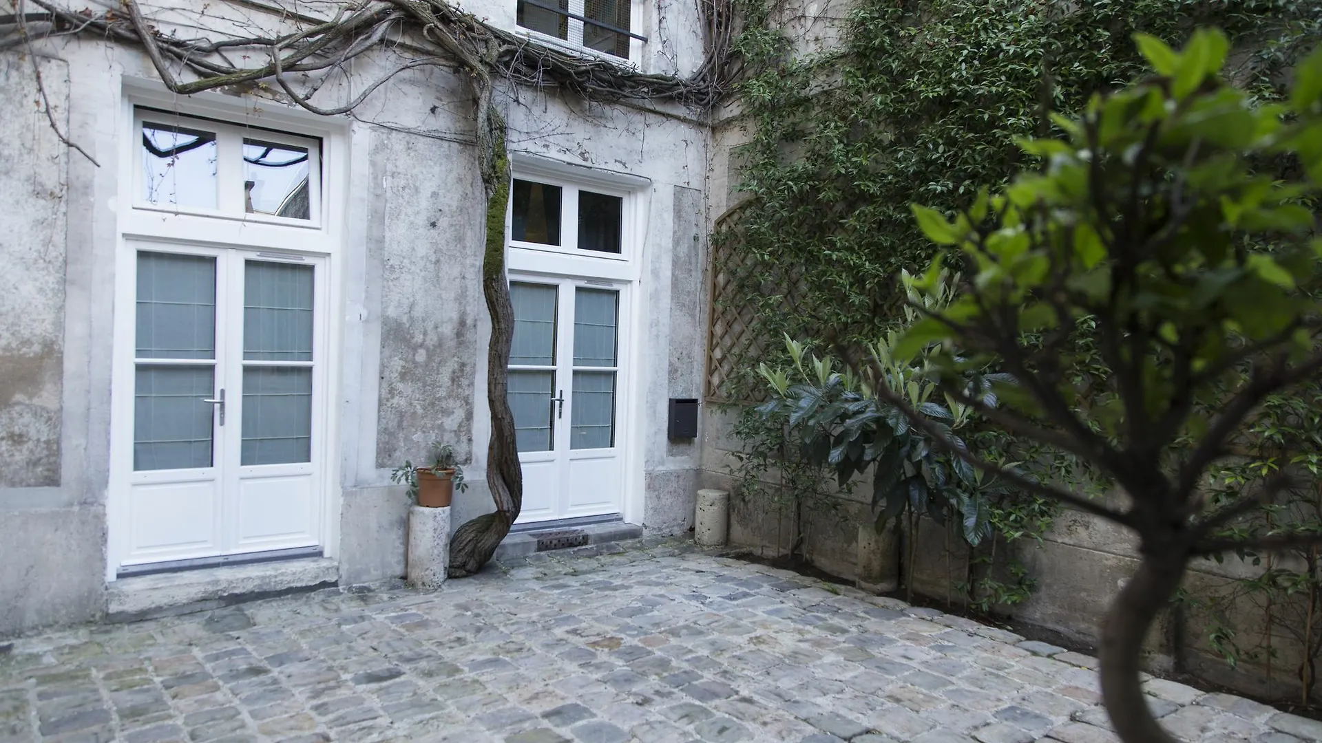 Saint-Germain Des Pres Apartment 2 パリ フランス